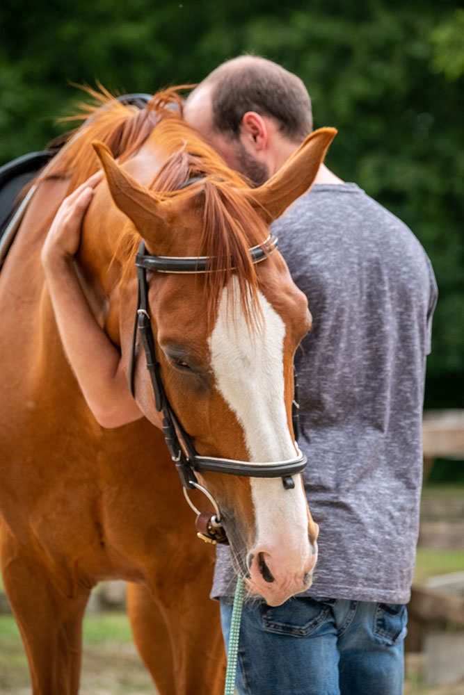leren paardrijden