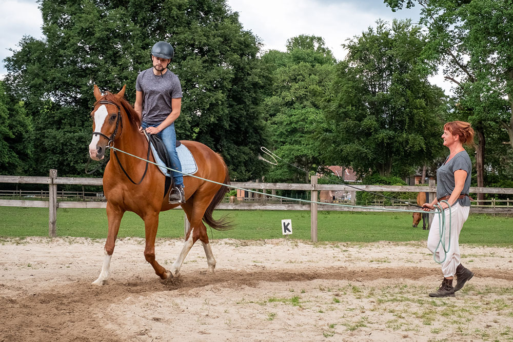 paardrijden — paardrijden op locatie Antwerpen