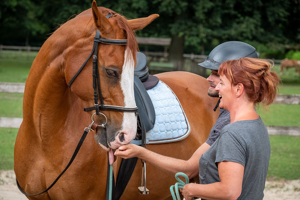 paardrijden — paardrijden op locatie Antwerpen