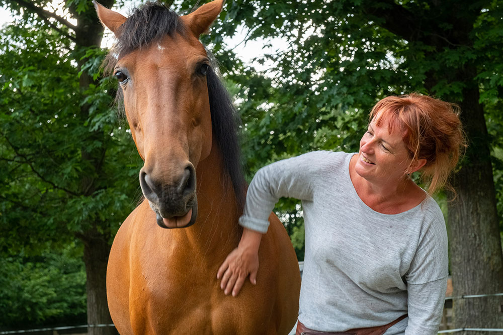 training van jouw paard